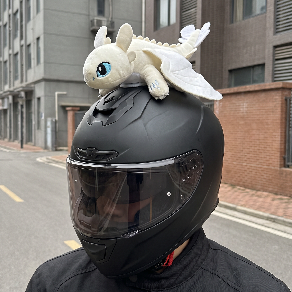 Wind Buddy